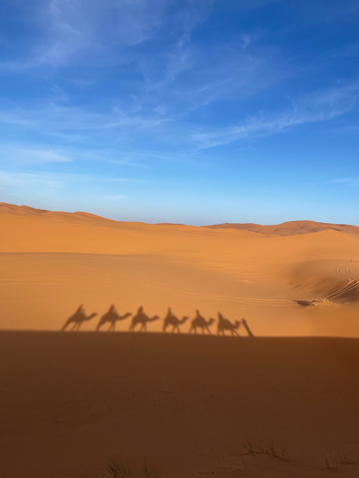The shadows of a camel caravan stretched across a rippled sand dune