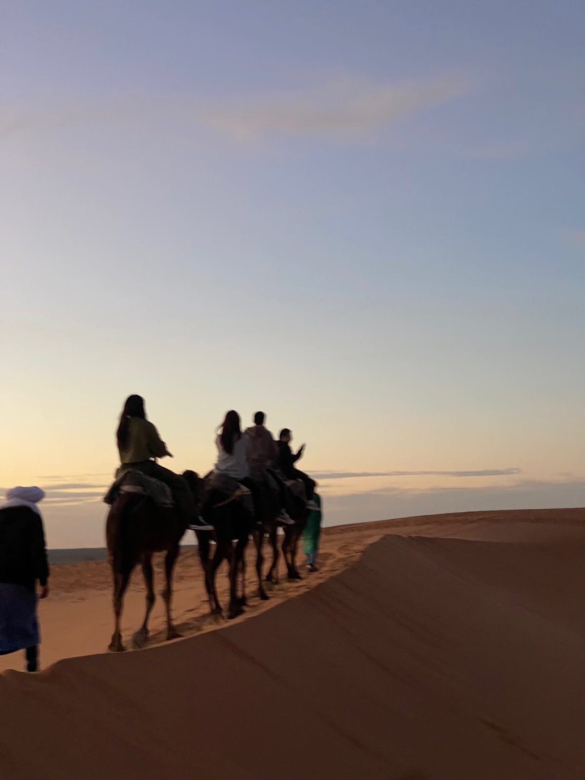 A camel caravan silhouetted on a dune ridge at dusk