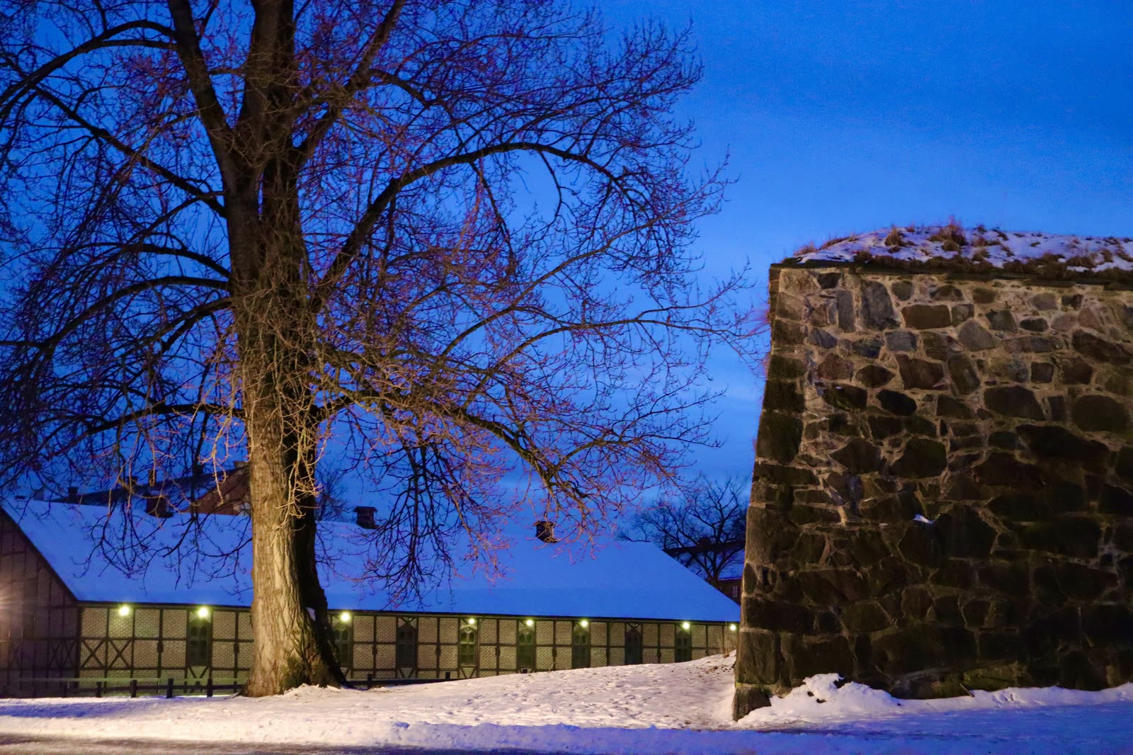 A bare tree and a half-timbered building with warm windows at snowy dusk, beside a rough stone wall